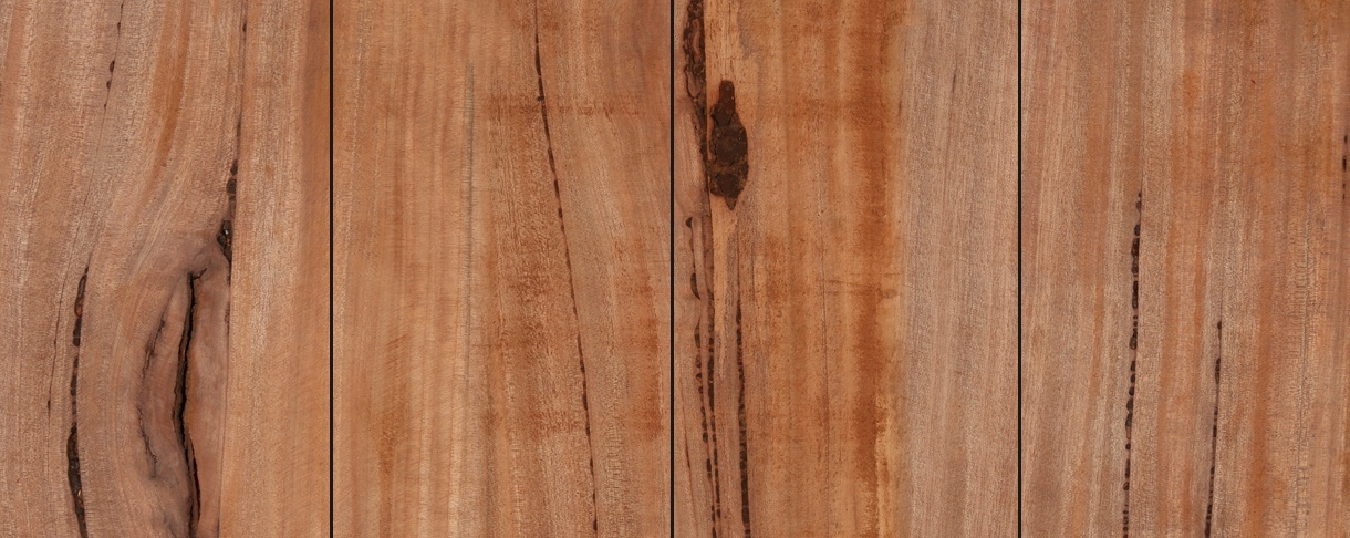 Tauari Vermelho hardwood with FSC mark
