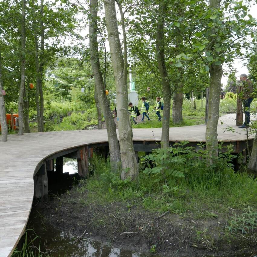 Project Floriade brug Azobé hout