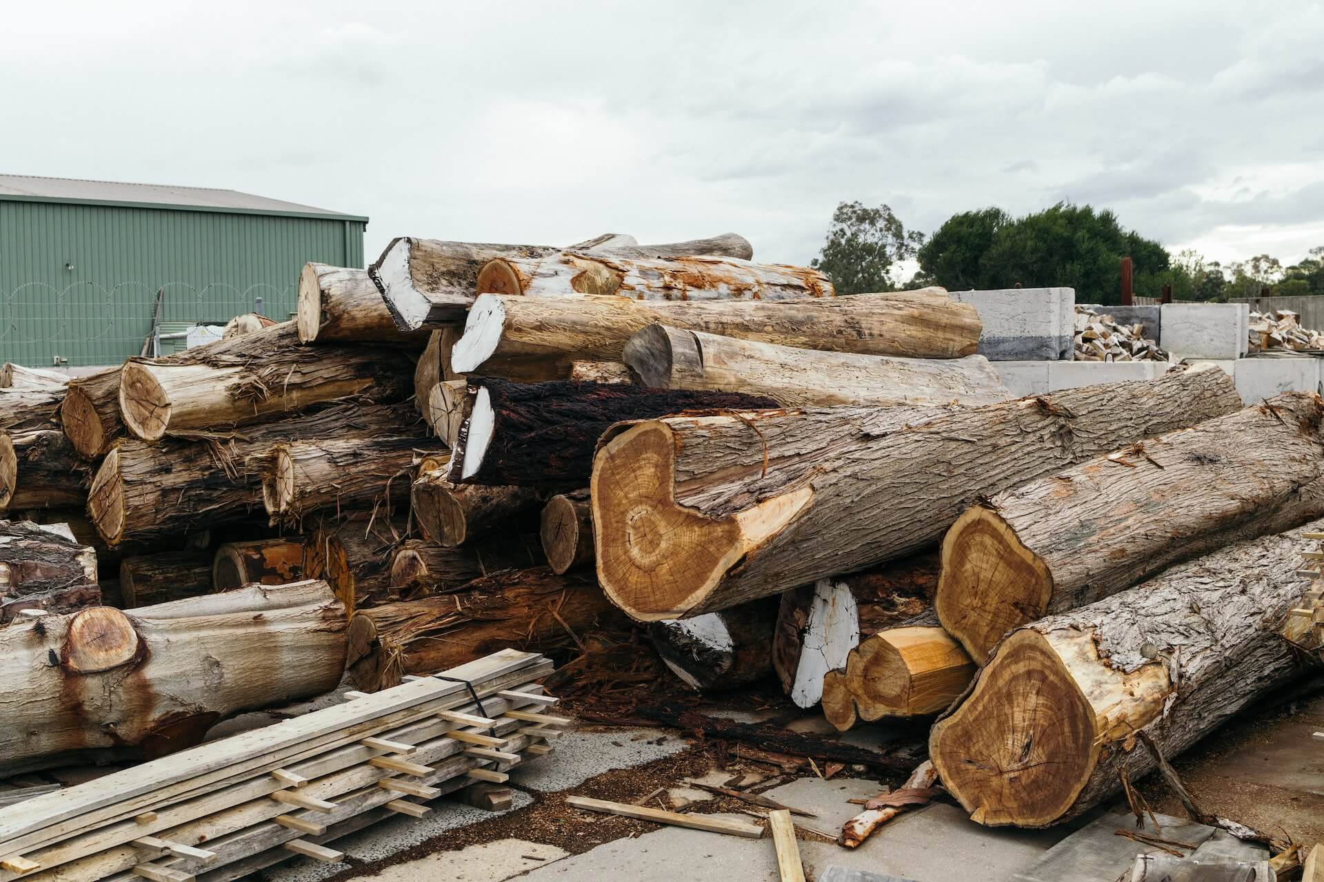 Vervolging en opsporing illegale houtkap door het OM