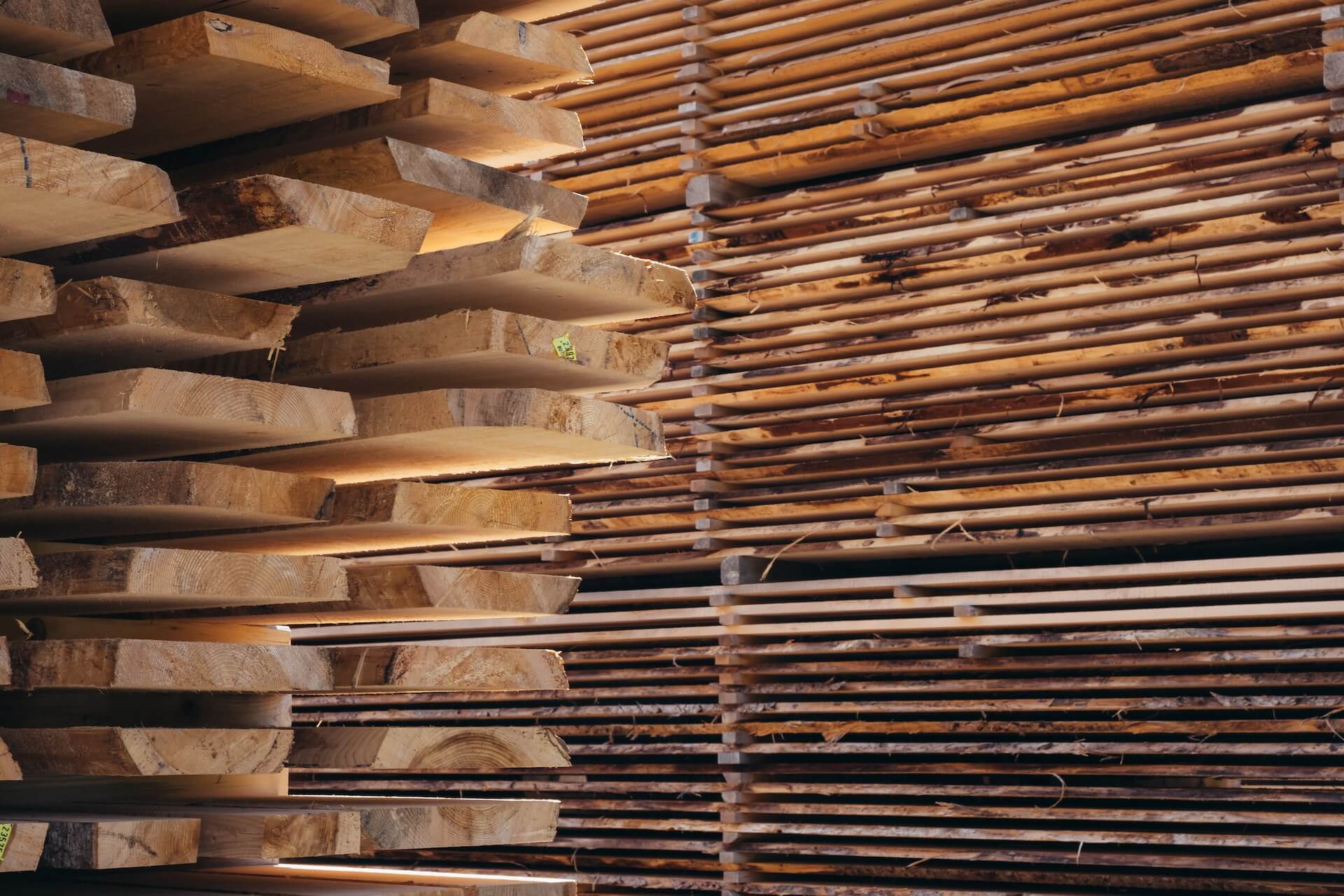 De droogprocessen van hout