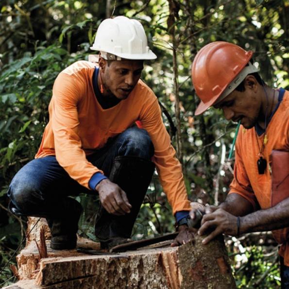 HOLZHANDEL IN HARD visual data 2