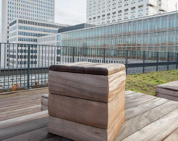 Cumaru Hardhout Erasmus Medisch Centrum Rotterdam