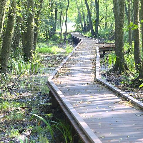 Hardhouten Vlonder in Bospad Bergen