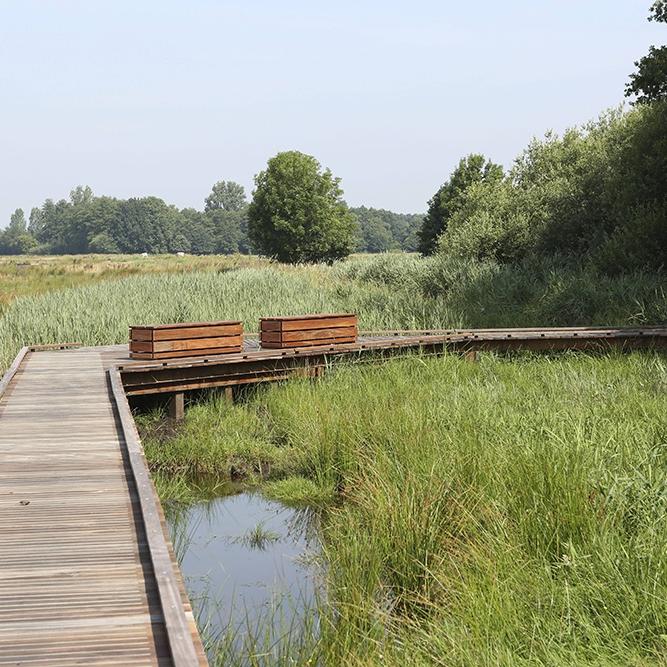 Hardhouten Zitbankjes op de Vlonder