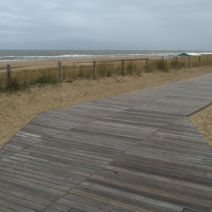 Cumaru Holz für einen Strandweg verwendet