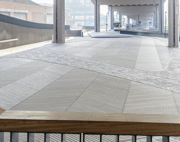 Engelse plein Leuven Massaranduba