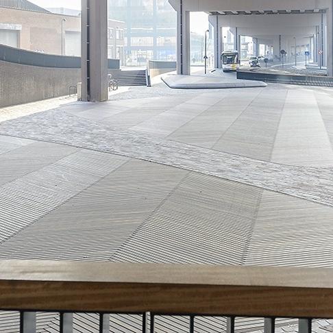 Engelse plein Leuven Massaranduba