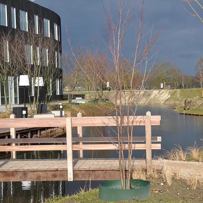 Loopbrug Piquia FSC hardhout