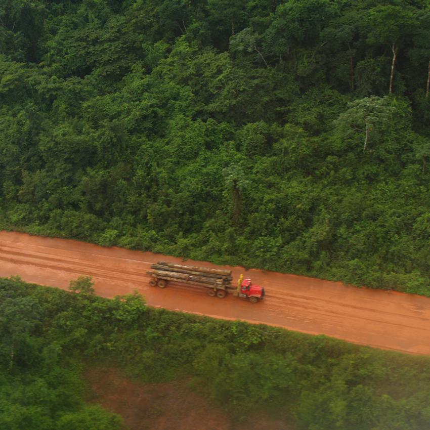 Vervoeren van tropisch hardhout