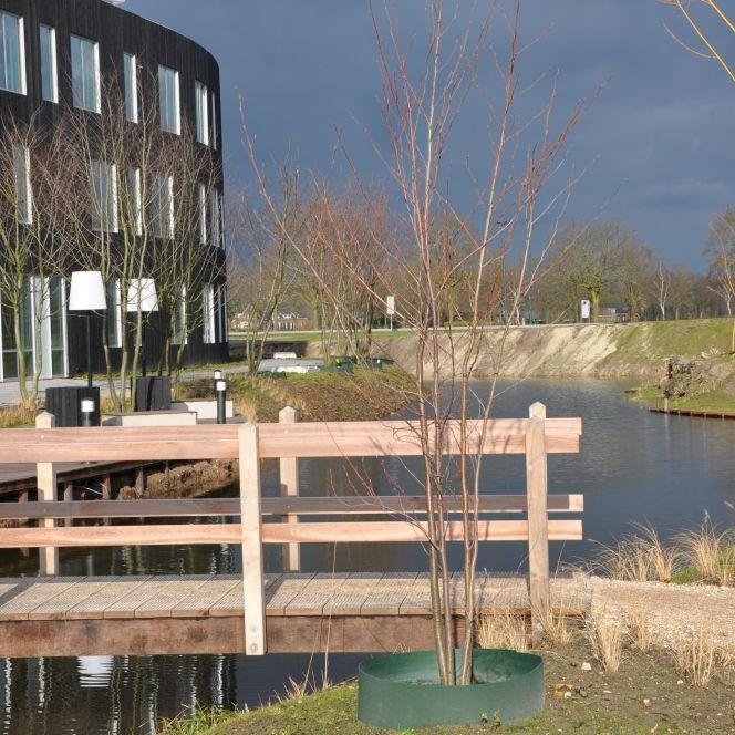 Houten bruggetje van FSC hardhout