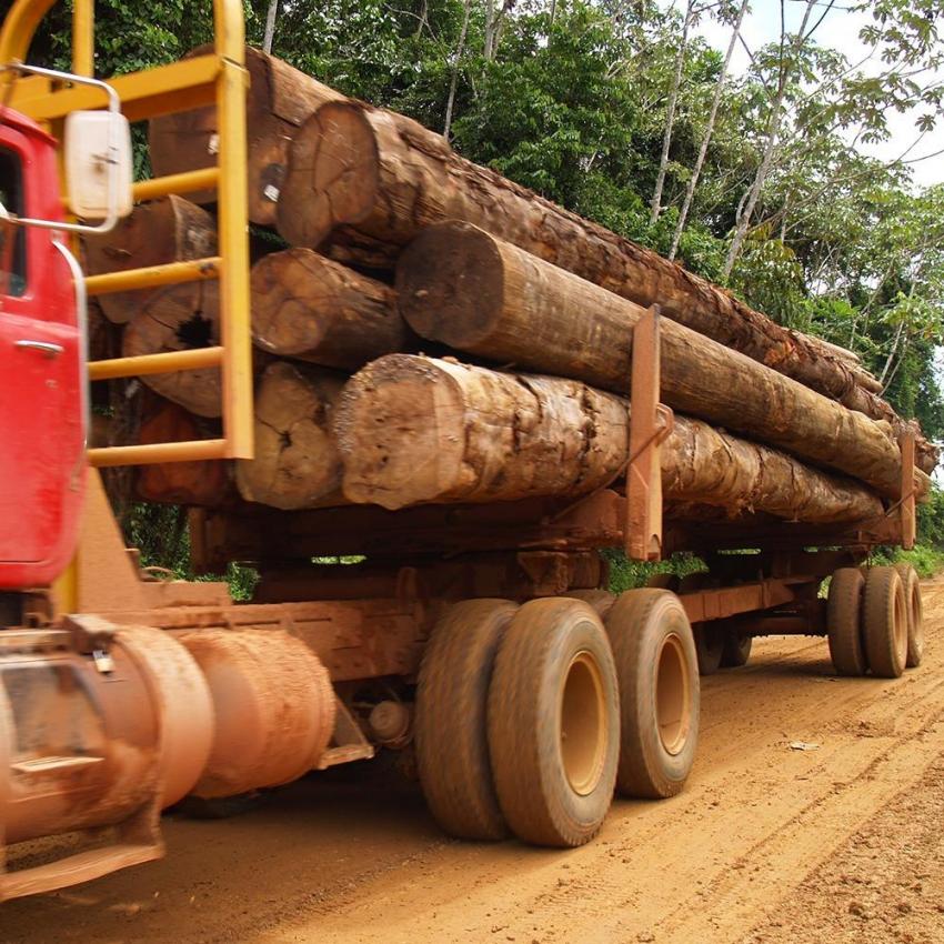 Wood Delivery Van den Berg Hardhout