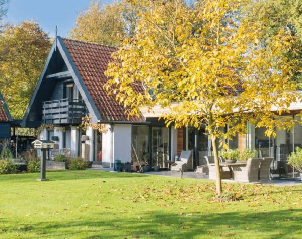 Nieuwe Horne Ipe Tropisch hardhout