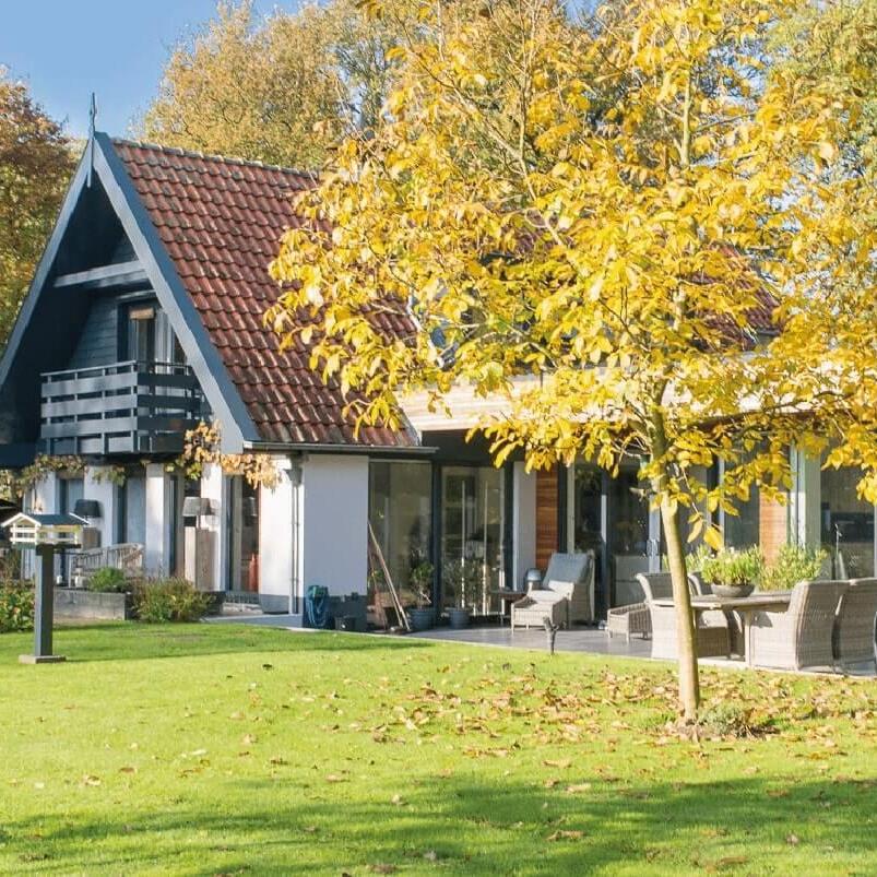 Nieuwe Horne Ipe Tropisch hardhout