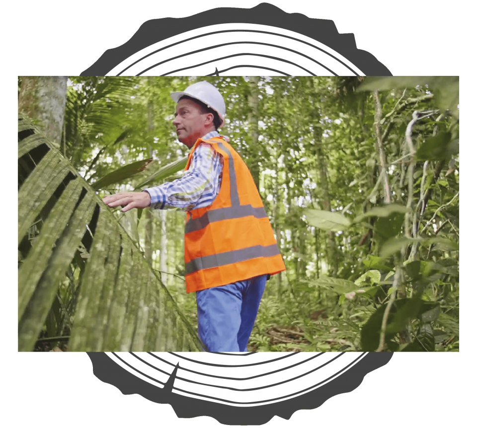  Specialist in tropisch hardhout